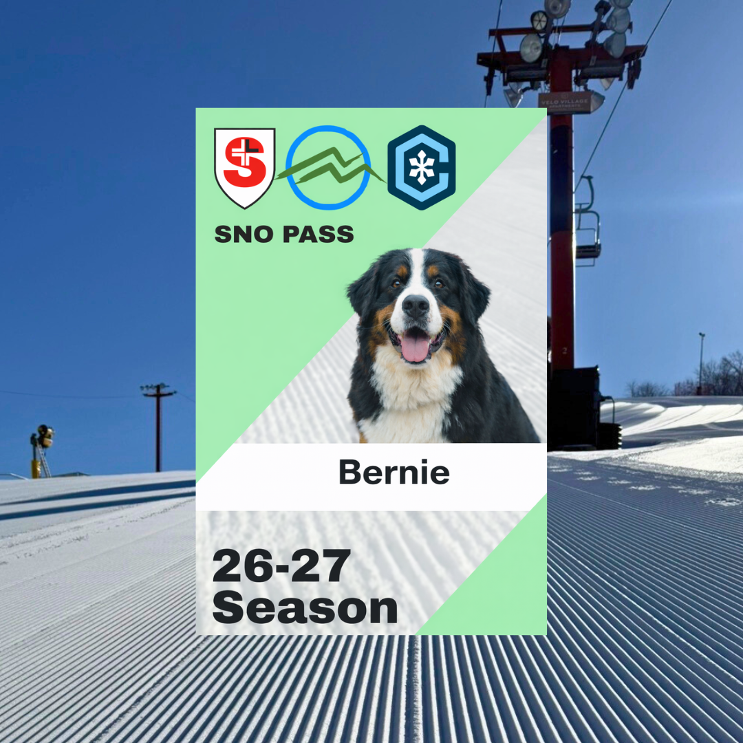Ski pass graphic with a dog, snowy slope and ski lift in the background.