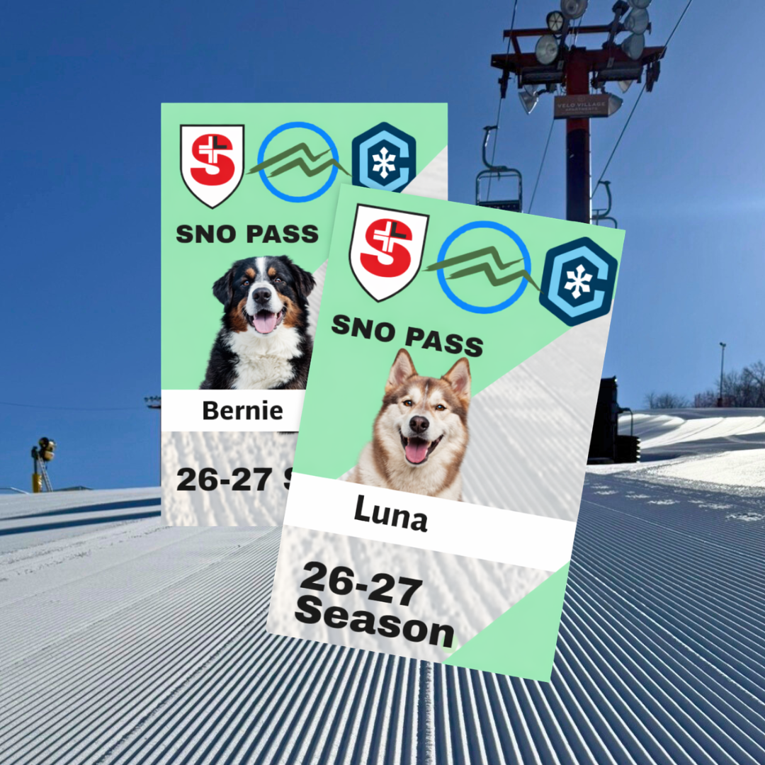 Ski passes with dog photos on a snowy slope background.