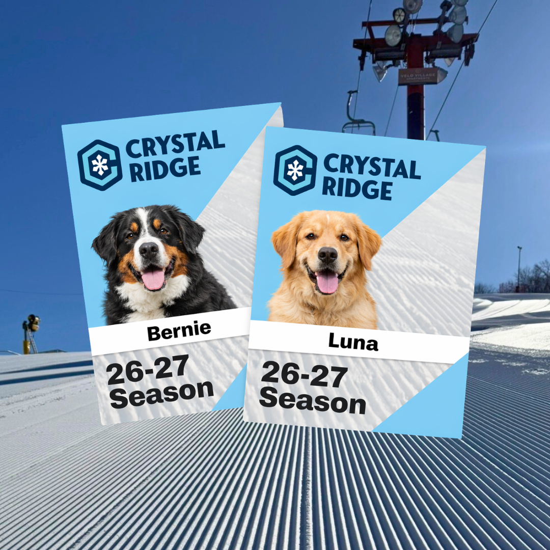 Ski passes with dogs on a groomed slope under a blue sky.